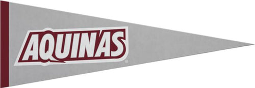Aquinas College 5x15 Pennant